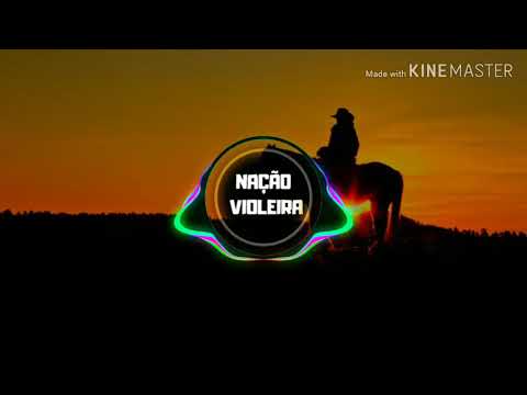 Tião Carreiro e Pardinho - empreitada perigosa + grave