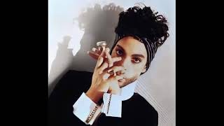 Willing And Able (12&quot; Extended Remix) (by Prince - unreleased)