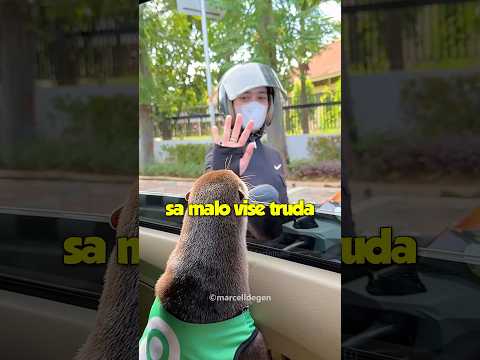 Najsladja Vidra🥺