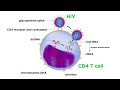 Human Immunodeficiency Virus HIV