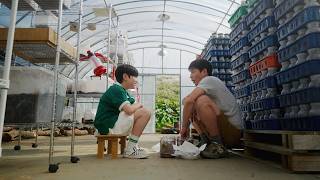 제27회 대구단편영화제 | 헤라클레스