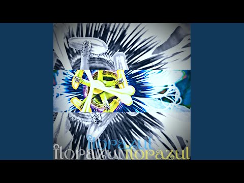 Flor Azul - Cássio Marcelo