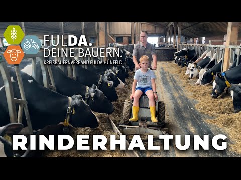 Rinderhaltung - Einblicke & Aufklärung