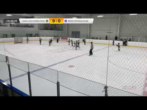 LJK U11 AA Junior Knights Green vs Western Mustangs Purple 11-06-24