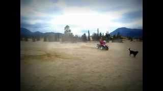 preview picture of video 'Fun on the Carcross Desert, Carcross, Yukon Territory'