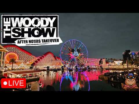 Live webcam of Koda Bear the Explorer 