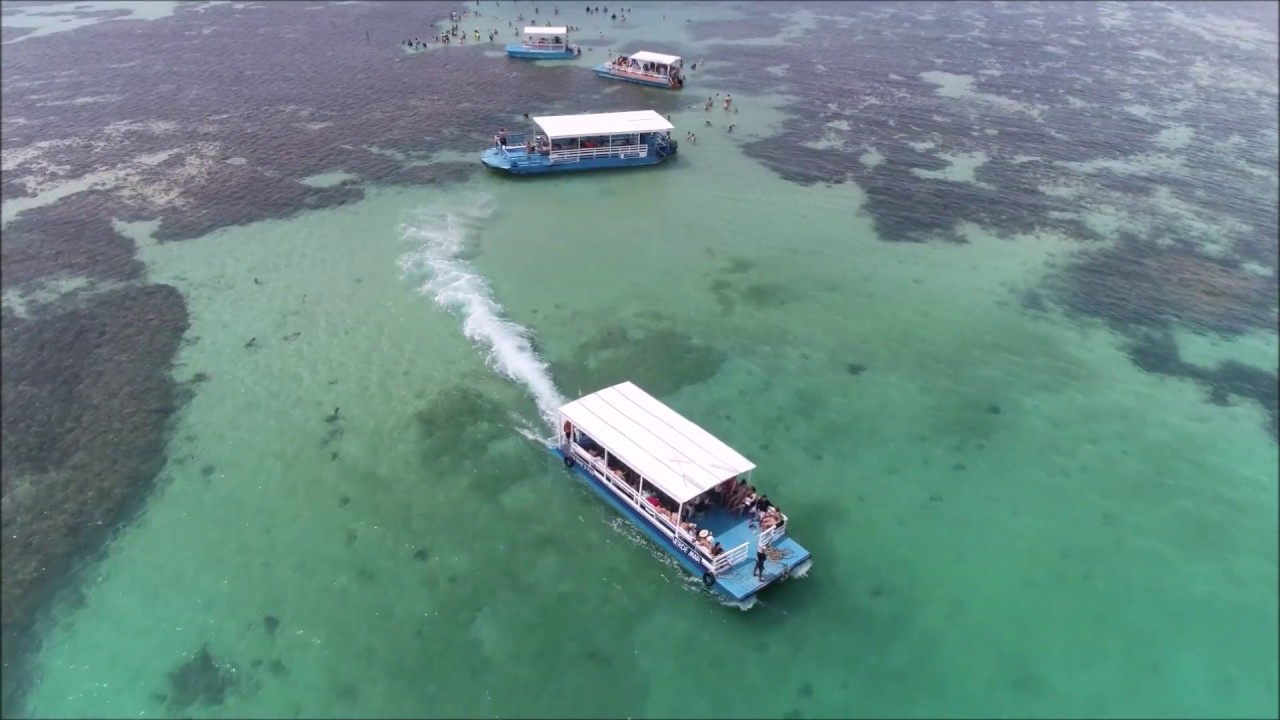 Praia de PARIPUEIRA, Piscinas Naturais - ALAGOAS (Aéreas Drone) ©DireitosReservados
