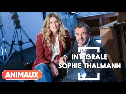 Sophie Thalmann dans Animaux Stars (intégrale) - Animaux