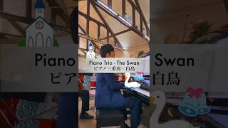 Download lagu 【披露宴/Wedding】サンサーンス - 白鳥 Saint Saens - The Swan (Le Cygne) ピアノ三重奏/Piano Trio #shorts mp3 Download lagu 【披露宴/Wedding】サンサーンス - 白鳥 Saint Saens - The Swan (Le Cygne) ピアノ三重奏/Piano Trio #shorts mp3