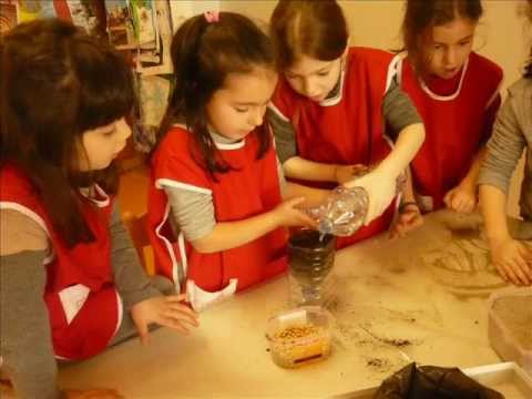 Anteprima: Occhi aperti sull'orto