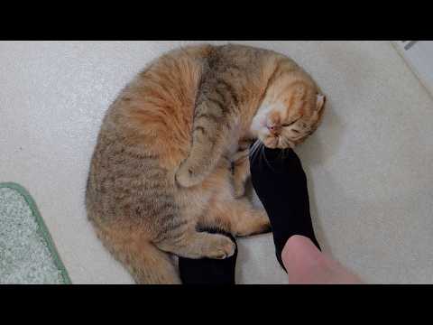 YouTube 썸네일