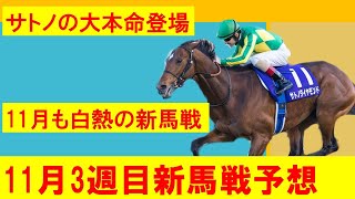 【11月3週目新馬戦】11月3週目の新馬戦注目馬紹介！！サトノダイヤモンド産駒の筆頭候補登場！！佐々木大魔神の有力馬も！