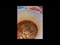 Sesame Ramen For Lunch 참깨 라면