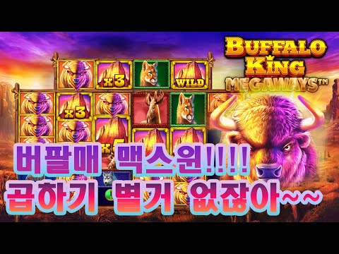 [슬롯잭팟] 버팔로메가웨이즈맥스윈!!! 곱하기 별거 없네!!