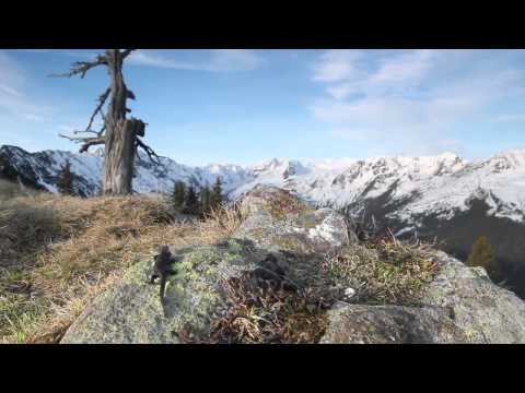 download lagu mp3 mp4 Die Landschaft, download lagu Die Landschaft gratis, unduh video klip Download Die Landschaft Mp3 dan Mp4 Viral Gratis