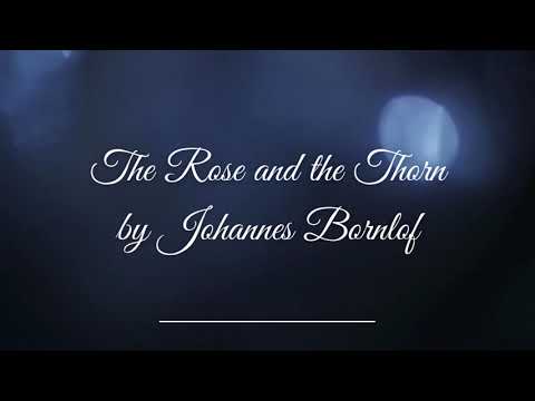 The Rose and the Thorn // Johannes Bornlof