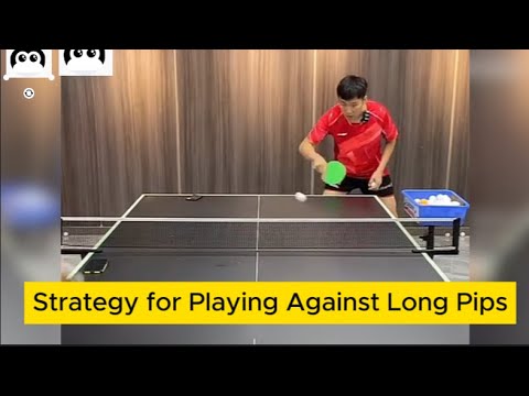 [table tennis]Retired National Team Player Teaches You Strategies to Counter Long Pips