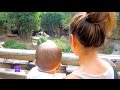 Their 1st Time At The Zoo!!! - TheLaVigneLife Daily ...