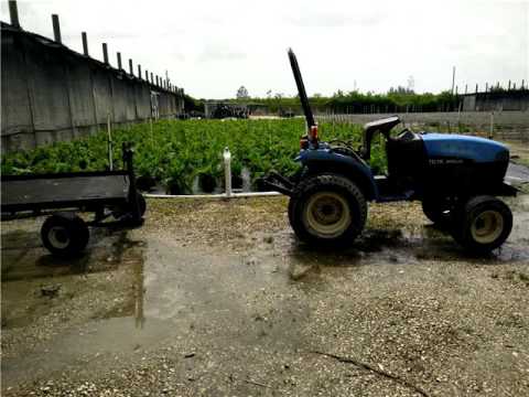 20400 SW 172 AV,Homestead,FL 33187 Comercial En Venta