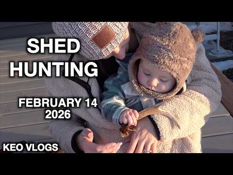 Hard Winter & Shed Antlers