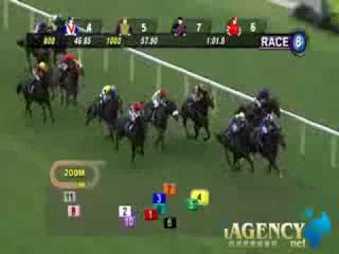 SINGAPORE RACE 20/10/2013 RACE 8 - iAgencyNet.com