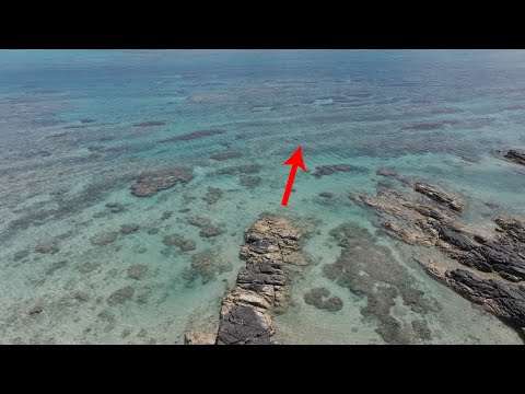 youtube-旅・海外記事2025/09/19 11:07:24