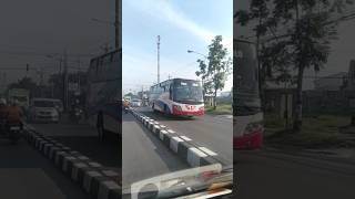 Download lagu ketemu Bus bumel sari giri andalan praci solo #busmania #bus #viral #shorts mp3