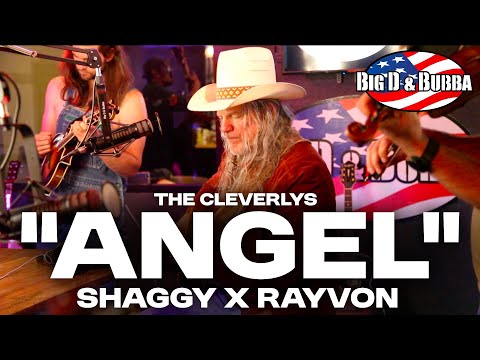 The Cleverlys | "Angel" (Bluegrass Shaggy Cover)