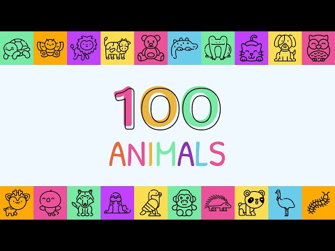 100 Animals Video