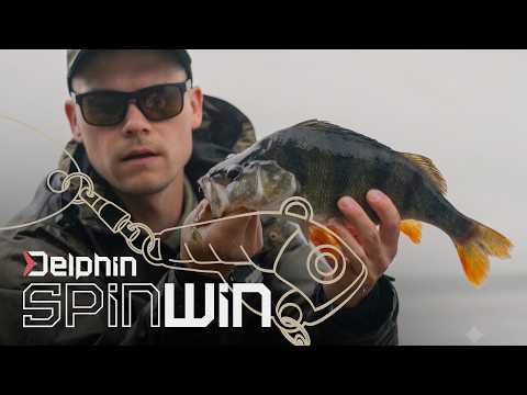 Delphin SpinWIN