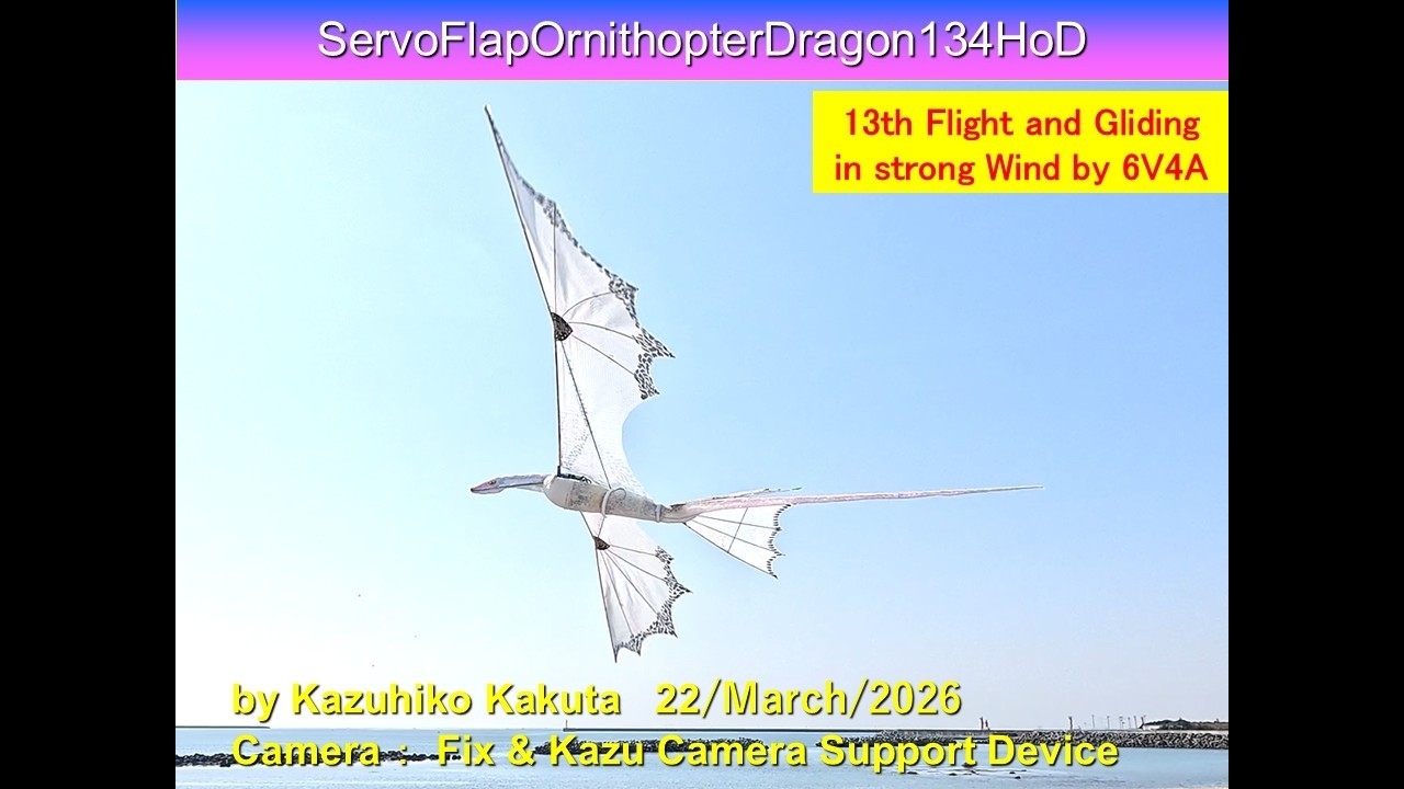 Ornithopterサーボ駆動ドラゴン型羽ばたき機 SFODragon134HoD 33g : 13th Good Flight and Gliding in strong Wind by 6V4A