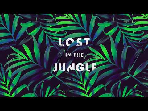 LOST IN THE JUNGLE - (Downtempo, Electro Tribal & Ethnic) - Compilation