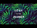 LOST IN THE JUNGLE - (Downtempo, Electro Tribal & Ethnic) - Compilation