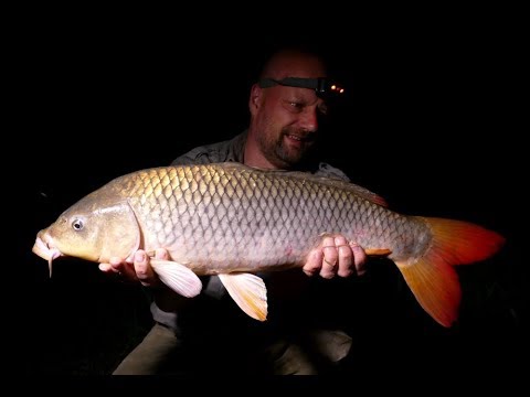 Matze Koch: Boilies and Carp Part 1 - Matze's Antics 08-2018