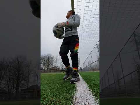 always forward hoorn