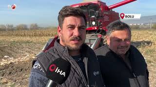 Bolu’da Dane Mısır Hasadı Başladı