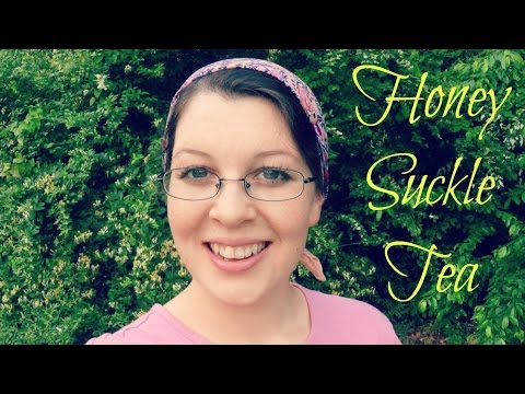 download lagu mp3 mp4 How To Make Honeysuckle Tea, download mp3 How To Make Honeysuckle Tea free downloadn, video klip How To Make Honeysuckle Tea