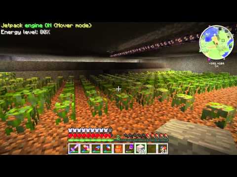 Bushes, alot of them. - FTB episode 22.