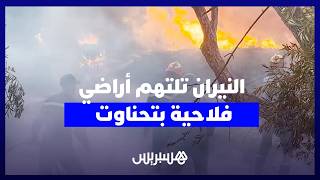 النيران تلتهم أراضي فلاحية بتحناوت والسلطات تكثف جهودها للسيطرة على النيران thumbnail