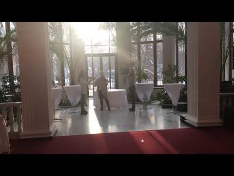 Lietuvos valstybės himnas. Electric Ladies