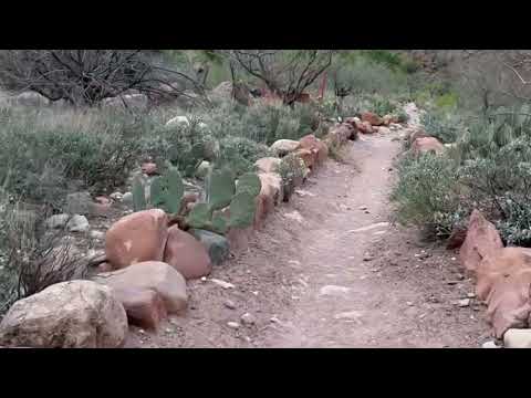 Grand Canyon Phantom Ranch Cabin