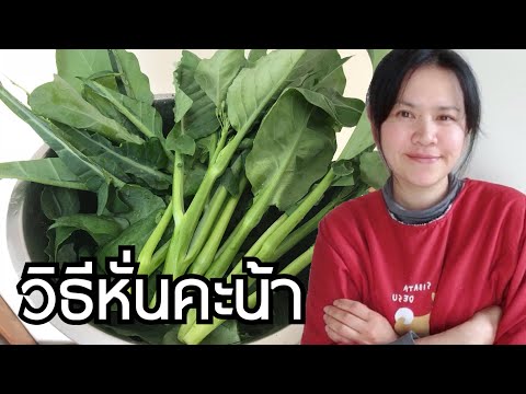 ความอ่อนแอในการบาดเจ็บกระดูกสันหลัง ชาราคาที่เพิ่มขึ้นแรง