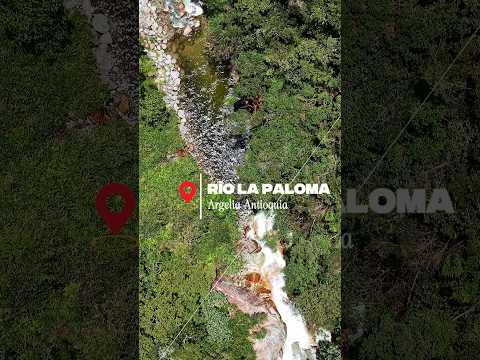 ¿El río más cristalino de Argelia, Antioquia? 🇨🇴👇