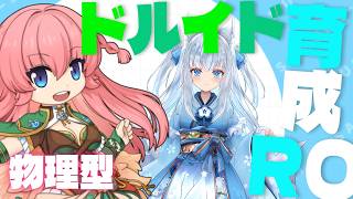 【 #RO 】新職！ドルイド→カルノス→アリテアを楽しくゼロから育成！物理型編♪【Vtuber狐狐音の前】