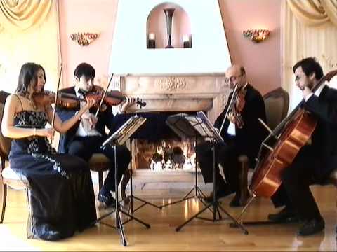 Promotional video thumbnail 2 for Bravo String Quartet / Bravo Music