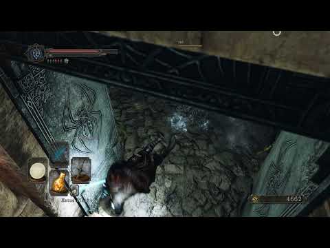 Dark Souls 2 Spider Extermination ASMR