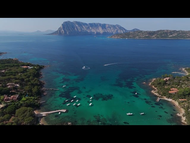 Villa Danza Dei Fenicotteri