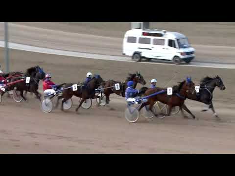 2019.03.02. 04. futam - INGYENÉLŐ HENDIKEP