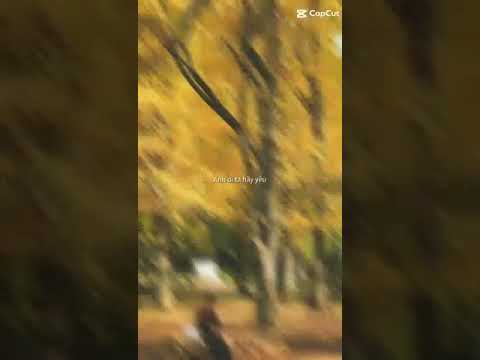 XÍCH THÊM CHÚT l #feelthebeat #music #shorts #tlinh