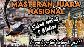 Download lagu Mewah PoooL !! MASTERAN MURAI BATU FULL ISIAN TEMBAKAN MEWAH‼️ mp3